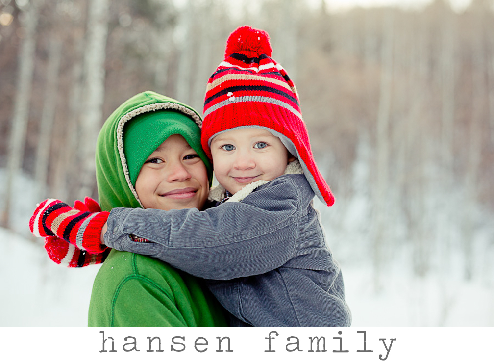 hansen8.lisaharbertson.web.2014